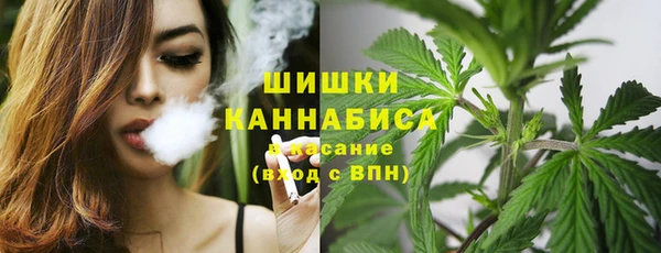 винт Белокуриха