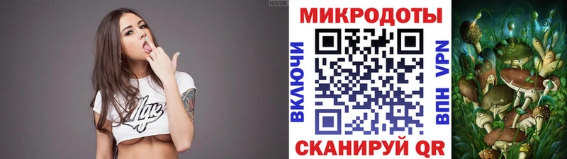 как найти наркотики  Полесск  Галлюциногенные грибы Psilocybe 