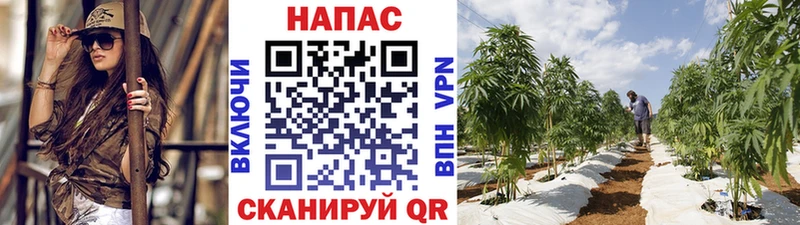 Конопля семена  Полесск 